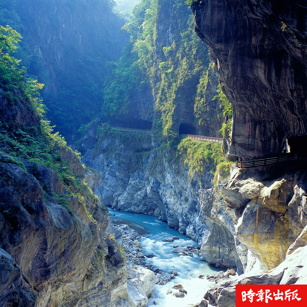 太魯閣,峽谷,立霧溪,中橫公路,亞熱帶植物,燕子口,九曲洞,森林
