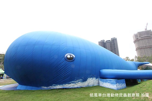 台北展覽|巨大鯨魚出沒萬華青年公園!「潛水冠軍」抹香鯨要在台北跟大家見面啦~ 紙風車台灣動物昆蟲創意展,抹香鯨,青年公園,台灣黑熊,昆蟲裝置藝術,深海魚劇場,創意展覽,台北展覽,浮誇動物展區,互動遊戲區,台灣名人動物昆蟲義賣區,台北,萬華青年公園,裝置