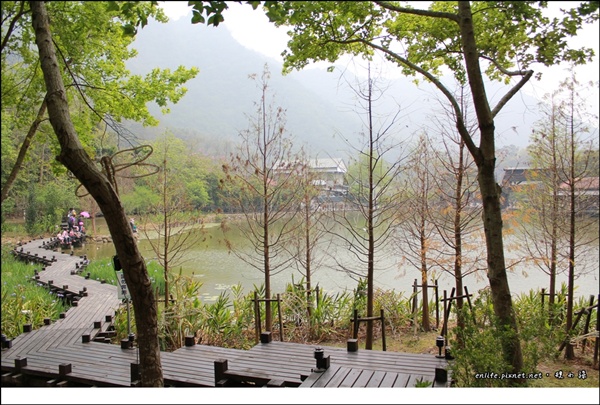 杉木池,車埕遊客中心,林班道,舊建築,木棧道,生態池,集集線,南投,集集,車程