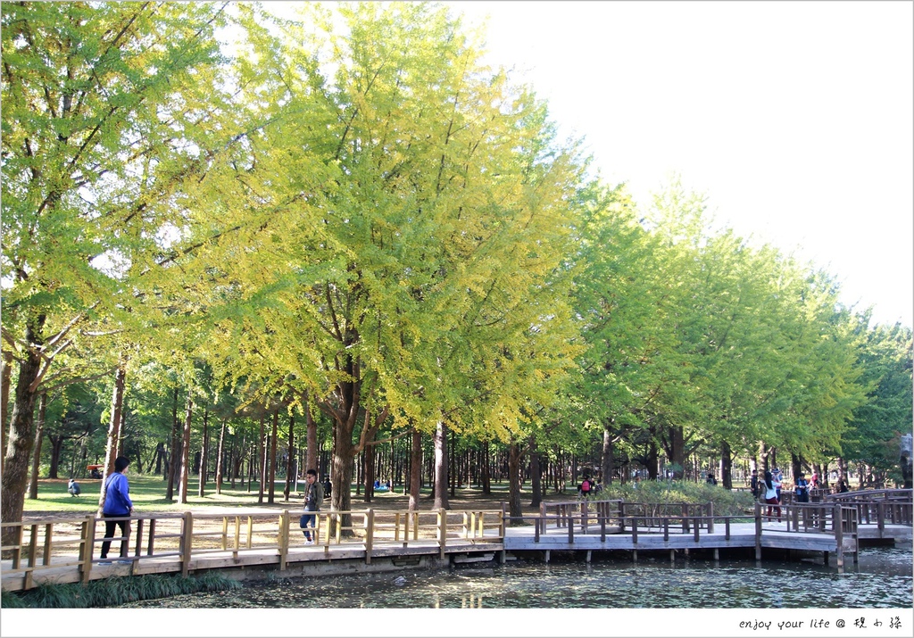 南怡島,銀杏林,水杉步道,紅豆豆沙包,烤玉米,湖畔小橋,城堡建築,秋天,首爾