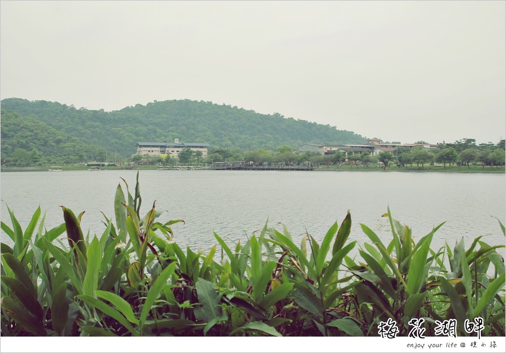梅花湖,黃色小鴨,環湖騎行,吊橋,碼頭,步道,咖啡館,宜蘭,踩船