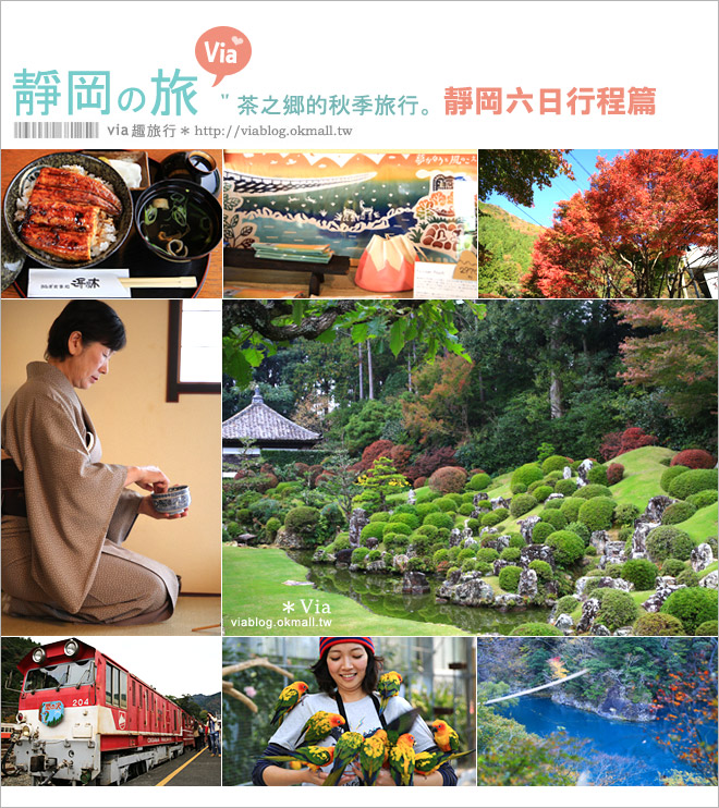 靜岡,茶之鄉博物館,大井川鐵道,奧大井湖上車站,夢之吊橋,龍潭寺,濱名湖纜車,靜岡自由行程,登山,日出