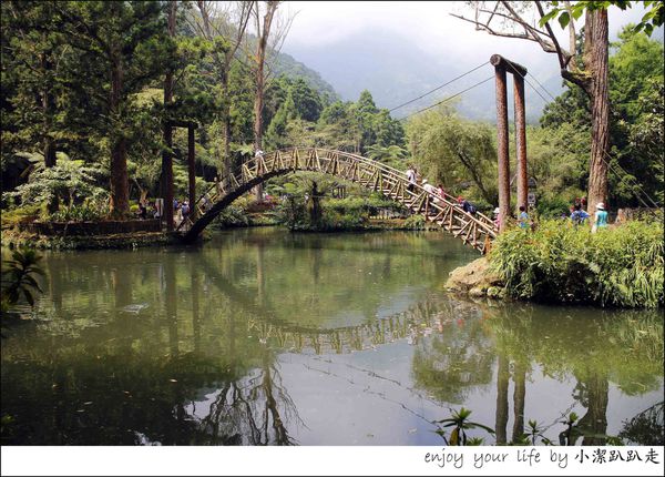 溪頭自然教育園區,大學池,神木,生態導覽森林步道,天空走廊,夢幻城堡,露天音樂廣場,南投,行程,一日遊,二日遊,溪頭,親子,避暑,溪頭森林遊樂區,步道,登山