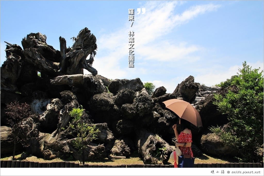 羅東林業文化園區,木棧道,貯木池,生命力,慢旅行,大自然,文化,宜蘭,羅東,林業文化園