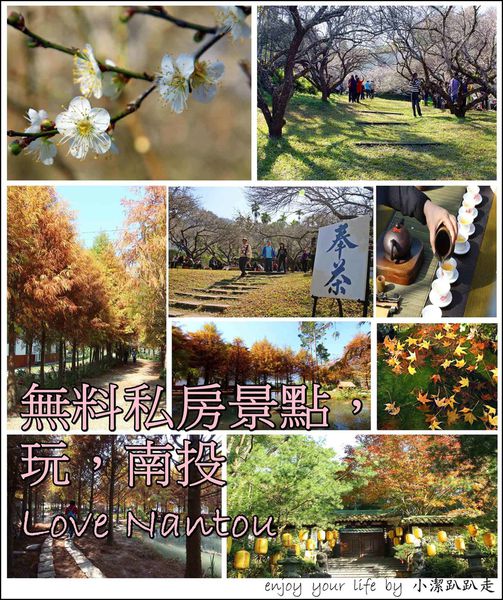 南投,賞梅,客家美食,九佃落羽松森林,禪機山仙佛寺,梅園步道,落羽松秘境,一日遊,梅花,禪機山,仙佛寺,國姓鄉,私房客家餐廳民宿,秘境,福龜九佃落羽松森林,國姓驛站,渡假