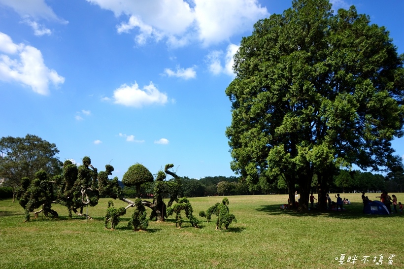 三育基督書院,南投,日月潭,九族文化村,暨南大學,綠色隧道,踏青,魚池,草地,親子,溜小孩
