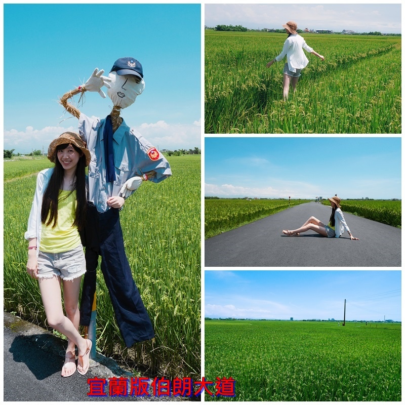 宜蘭伯朗大道,三奇村,稻浪觀景高台,稻田步道,腳踏車租借,田園風光,拍照熱點,宜蘭,伯朗大道,稻田,冬山,三奇伯朗大道