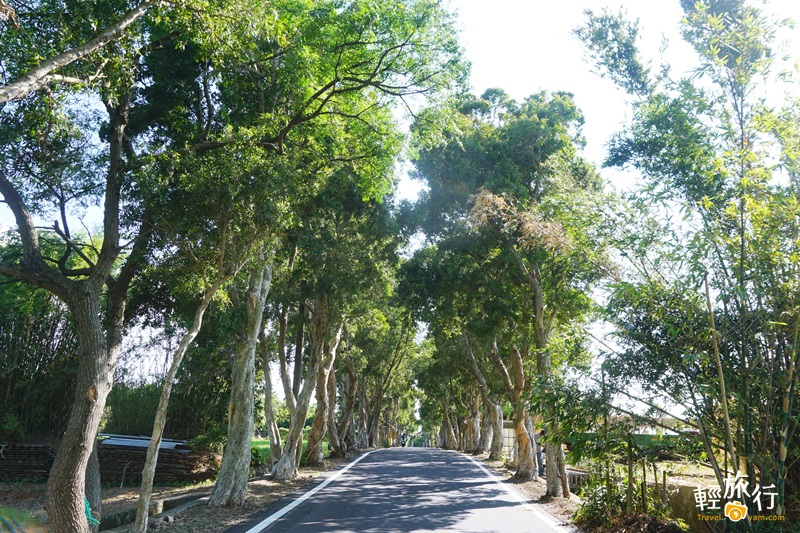 地景藝術節,觀音廣福社區,八德埤塘生態公園,霄裡石母娘娘廟,草漯沙丘,白千層林道,福山宮生態池公園,桃園,踩線,一日遊,半日遊,閩東小館,馬祖,裝置藝術,打卡,拍照,浣衣池,石母娘娘,餘慶堂,IG,懶人,懶人出遊