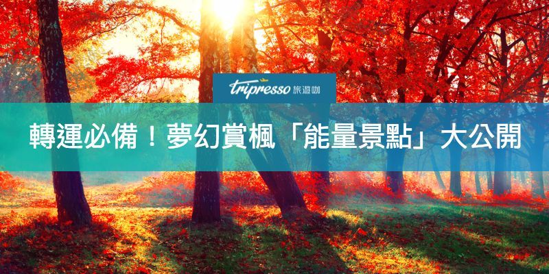 能量景點,賞楓,轉運,開運,秋天,祈願,靈驗,日本,楓葉,神居古潭,北海道神宮,昇仙峽,石山寺,光明禪寺,海洋