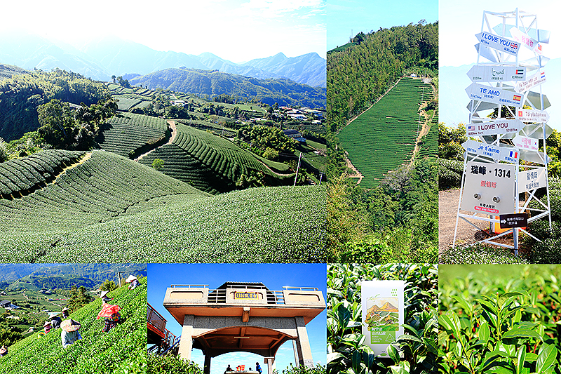 海鼠山1314觀景台,瑞峰1314愛情塔,嘉義梅山,阿里山茶園,御茶園廣告拍攝地,日出景點,茶園DIY體驗,嘉義,梅山,御茶園,廣告,場景,拍照,IG,瑞峰,瑞峰1314多國愛情塔,日出,海鼠山,1314 lookout,162甲線,採茶,茶園,步道,瀑布,三角點,雲海