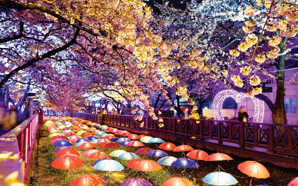 韓國櫻花季,馬耳山櫻花節,完山公園,鏡浦臺櫻花節,鎮海軍港節,慶熙大學,石村湖,韓國,櫻花,賞櫻,IG,拍照,打卡,特輯,花海,花季,秘境