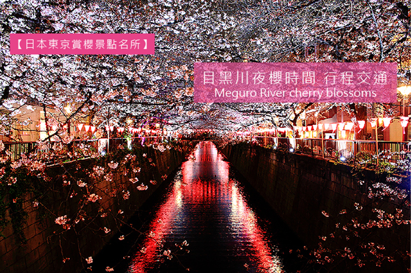 目黑川夜櫻,櫻花季,東京賞櫻名所,中目黑站,夜櫻點燈,哲學之道,蔦屋書店,日本,東京,夜櫻,賞櫻,目黑川,櫻花,交通,行程,淺川,光明泉,泡湯,溫泉