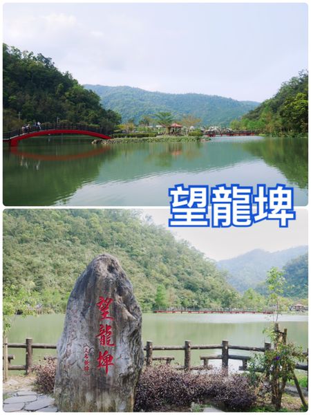 望龍埤風景區,員山鄉,環湖步道,紅色拱橋,涼亭造景,親子出遊,免費停車場,宜蘭,望龍埤,員山,電視劇,場景,下一站幸福,打卡,拍照,花田村,IG