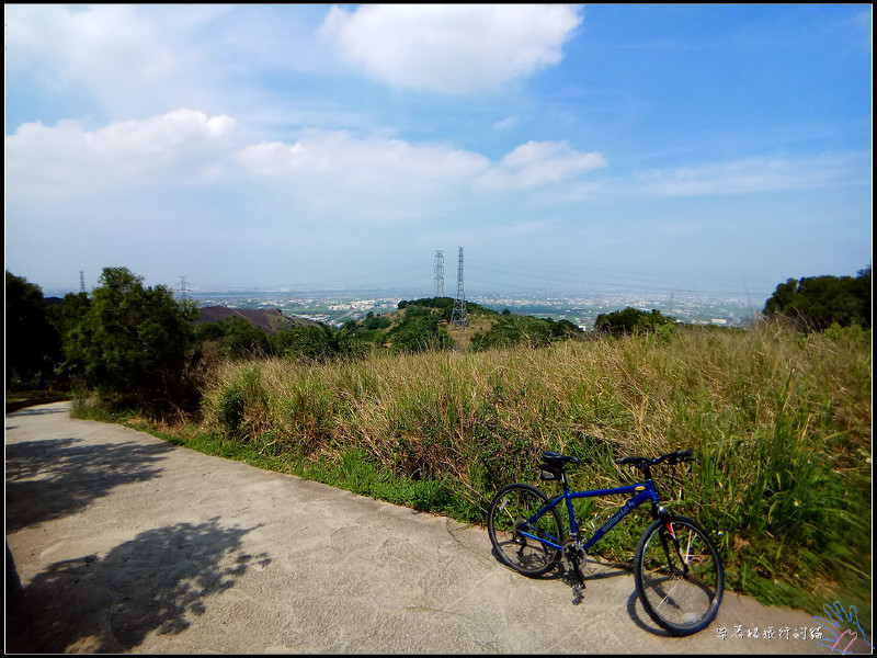 南寮步道,瑞井古厝區,喜字窗,土地公廟,雞蛋花,貓咪彩繪,大肚瑞安宮,瑞井,台中,彩繪,古厝