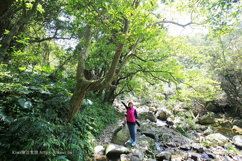 青山瀑布,石門區,坎底寮圳,鐵橋,尖山湖步道,北海岸,自然氛圍,石門,步道,尖山湖,玩水,夏天,戲水,登山,古道,新北步道,青山瀑布步