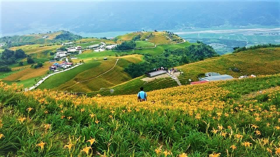 金針花季,花蓮六十石山,台東太麻里山,花蓮赤科山,台中沐心泉農場,賞花景點,夏季活動,花蓮,台東,金針花,太麻里,六十石山,賞花,台中,新社,赤柯山,沐心泉農場,金針山,花海,花季,秘境,懶人