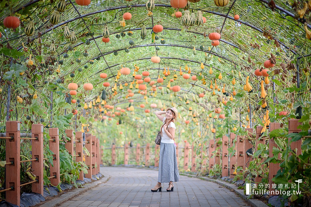 【苗栗造橋】南瓜不只能變馬車,還能搖身一變成浪漫美麗的南瓜隧道! 苗栗,造橋,南瓜隧道,龍昇湖,南瓜節,步道,旅遊,綠龍隧道