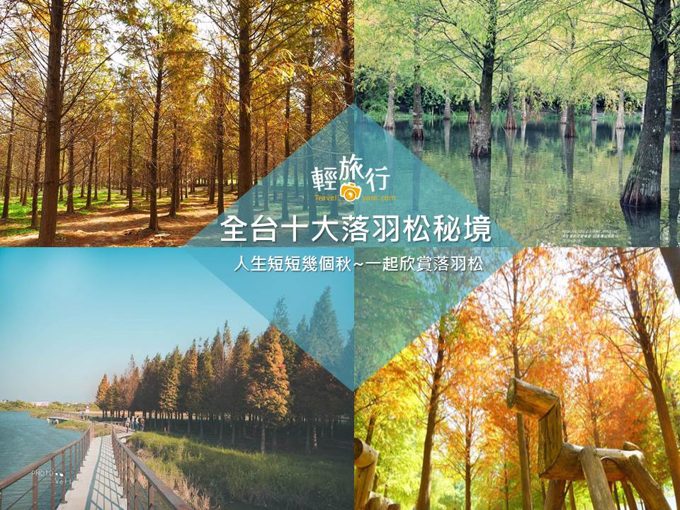 落羽松景點,秘境,秋冬美景,觀光熱點,自然景觀,打卡景點,尿酸泉,懶人包,落羽松,森林,拍照,打卡,IG,霄裡落羽松,桃園,八德,大溪,落羽松大道,新竹,大樂之野,愛心湖,台中,中科落羽松,泰安國小,彰化,田尾,菁芳園,南投,139縣道,花蓮,壽豐,鈺展苗圃,雲林,林內,農田水利文物陳列館,台南,六甲,菁埔埤