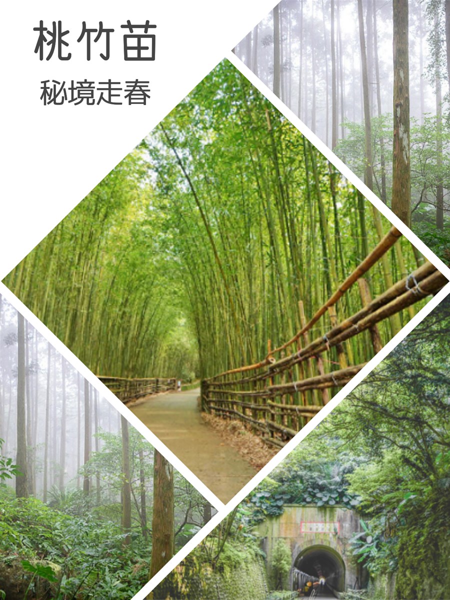 桃竹苗秘境,大平紅橋,草漯沙丘,舊百吉隧道,十二寮天主堂,齋明寺,南窩綠丘,秘境,走春,打卡,桃園,龍潭,古蹟,埤塘,沙漠,豆麥埤塘,大溪,觀音區,新竹,城堡,廢墟,馬武督探索森林,森林,濕地,香山濕地賞蟹步道,紅樹林,新豐紅樹林生態保護區,新豐鄉,苗栗,通霄鎮,崎頂子母隧道,隧道,烏嘎彥,竹林,竹南,泰安,日新島,墨硯山,明德水庫,頭屋鄉,夜景,雲海,吊橋,溪流,古道,草原,車站