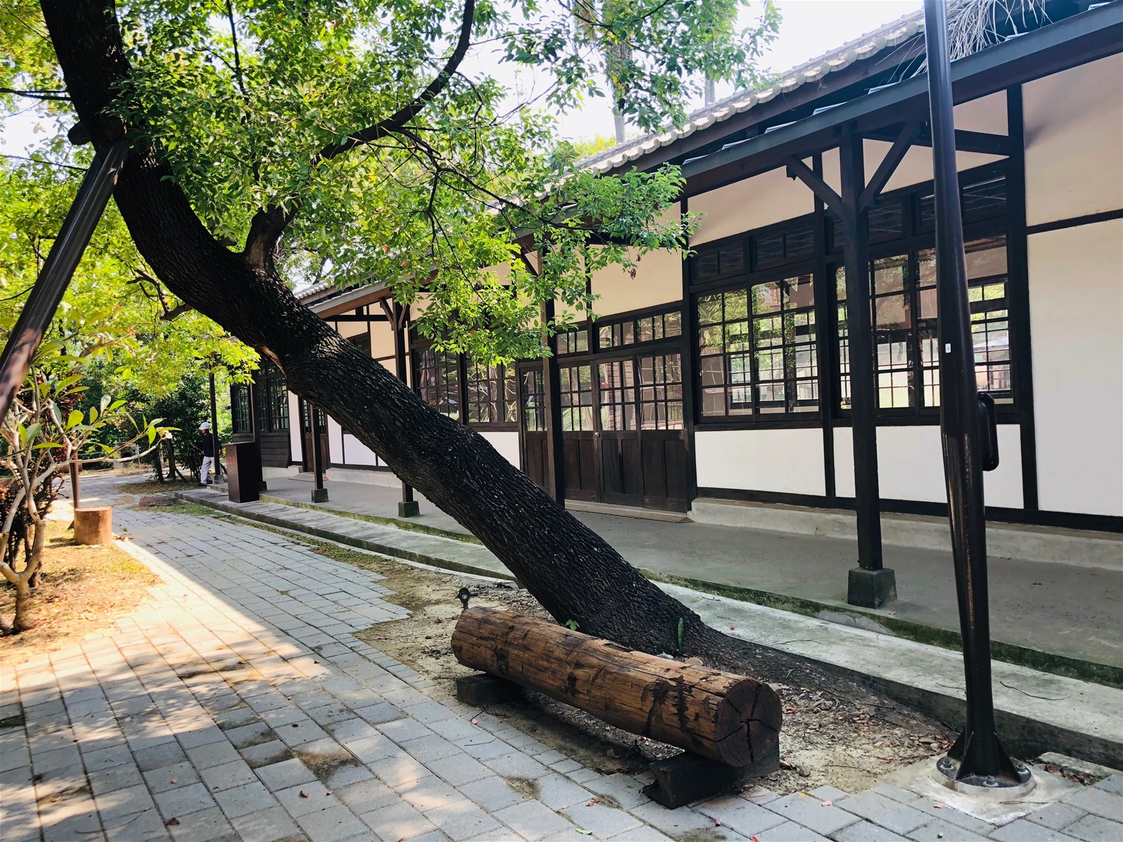 檜木列車,阿里山林業鐵路,Shay蒸汽火車頭,嘉義北門站,日式北門驛車站,嘉義製材所,林務局文化資產管理,嘉義,行程,鐵路,鐵道,體驗,秘境,阿里山,森林鐵路,林鐵,車站,小火