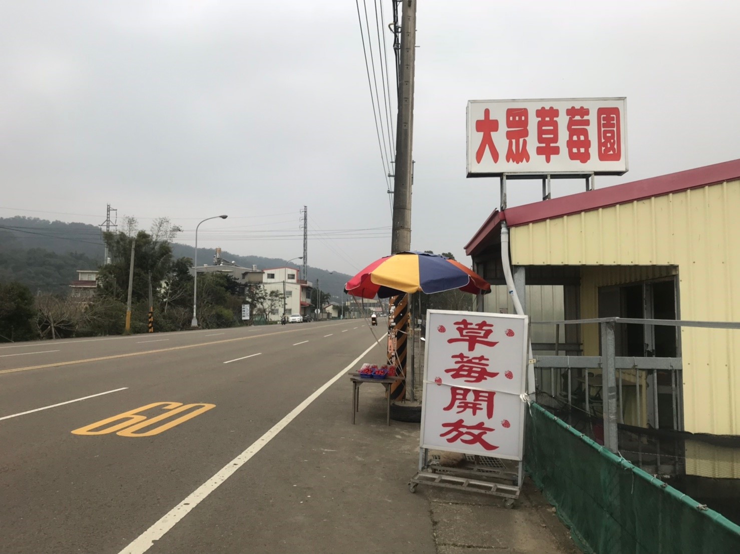 新竹關西,草莓園,寵物友善,2019暖冬補助,自行採摘,高架區,地植區,新竹,關西,大眾草莓園,採草莓,暖冬遊,暖冬補助,新竹景點,新竹採草莓,草莓季,寵物友善草莓園,關西景點,新竹草莓園,關西草莓