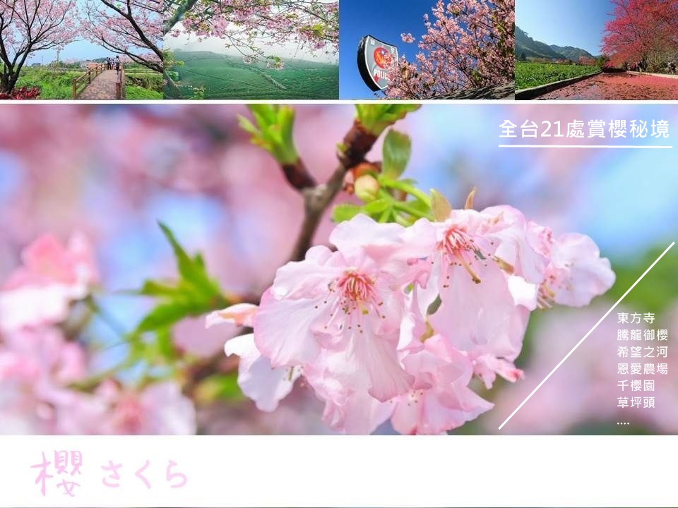 賞櫻,秘境,櫻花隧道,古剎,茶園,步道,寺廟,櫻花,台北,北投,陽明山,東方寺,北投櫻花隧道,碧山巖圓覺寺,內湖,騰龍御櫻,新店,新北,貓空,熊空櫻花林,三峽,三芝,三芝三生步道,土城,希望之河,桃園,拉拉山,拉拉山觀雲山莊,大溪,法鼓山齋明寺,恩愛農場,新竹縣,五峰鄉,山上人家,苗栗,獅潭,蓮臺山妙音淨苑,周末限定,季節限定,協雲宮,台中,后里,崴立機電櫻花公園,泰安派出所,福壽山,千櫻園,南投,草坪頭,宜蘭,羅莊櫻花步道,羅東,三星,台7丙線,崙埤河濱公園,大同鄉,嘉義,阿里山,石棹,櫻之道,百岳,小百岳,雲海,日出,鐵道,花海,花季,打卡,夜景,懶人