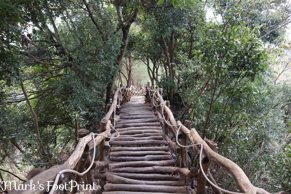 大坑三號步道,愛麗絲夢遊仙境,登山步道,秘境,大自然,景觀步道,戶外探索,台中,大坑,三號步道