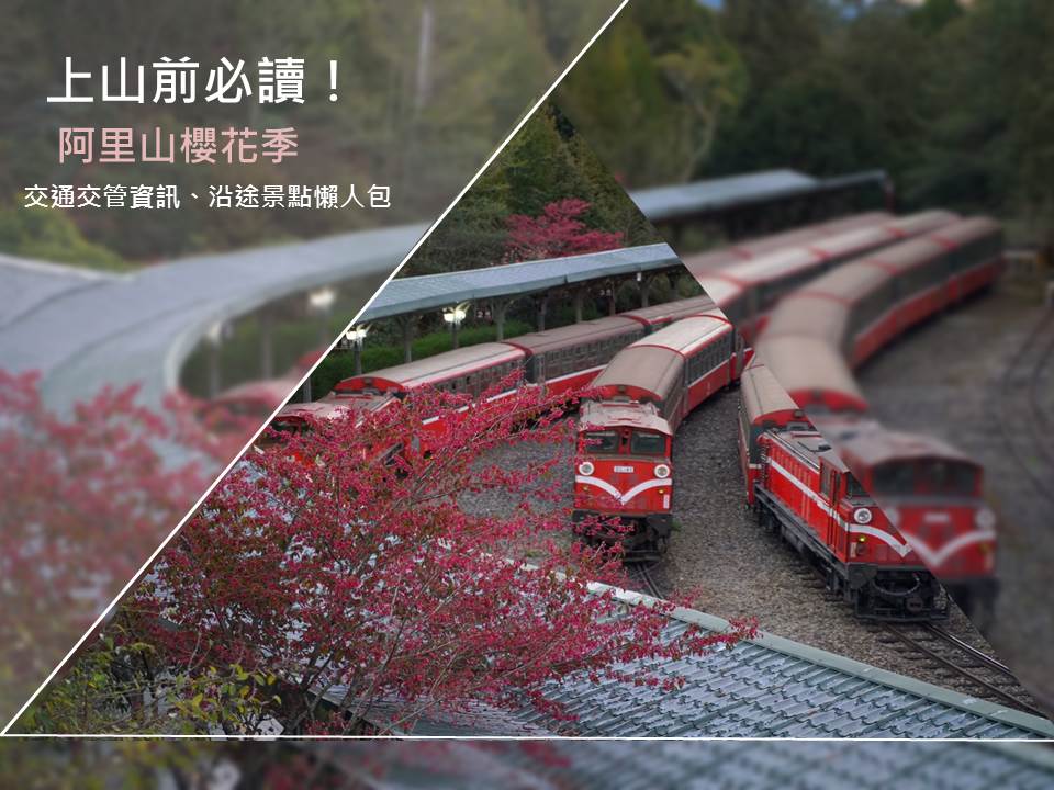 阿里山櫻花季,森林遊樂區,阿里山小火車,觸口遊客中心,優遊吧斯,奮起湖老街,二延平步道,阿里山,嘉義,懶人包,小火車,鐵道,阿里山森林遊樂區,奮起湖,台灣好行,觸口,逐鹿部落,牛埔仔草原,龍隱寺,天長地久橋,隙頂,雲海,雲瀑,琉璃光,鄒族,石棹,步道,迷糊步