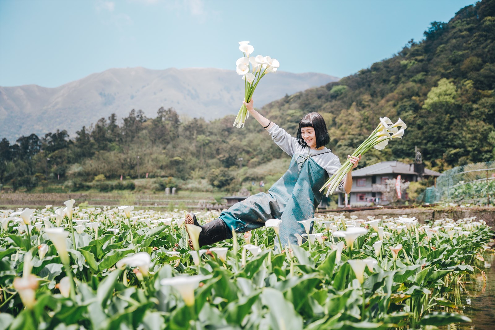 陽明山,竹子湖,海芋季,春天景致,名廚料理會館,名陽匍休閒農莊,攝影構圖,台北,拍照,IG攝影師,教學,攝影,打卡,IG,stanley,專欄