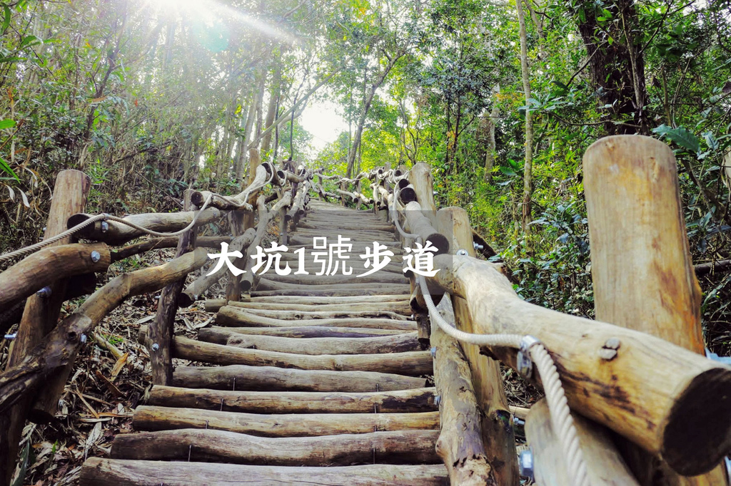 大坑風景區,登山步道,大坑1號步道,油桐花,親子同遊,頭嵙山,體能訓練場,台中,北屯,小百岳