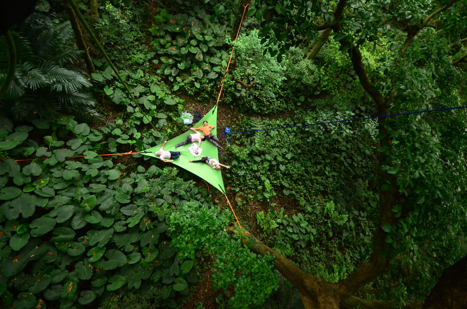 薰衣草森林,秘密花園,白日夢冒險王,森林攀樹,竹筒飯DIY,觀景台,祕密花園,新竹,尖石鄉,攀樹,約會,親子,白是夢冒險王,大自然,兒童節,di