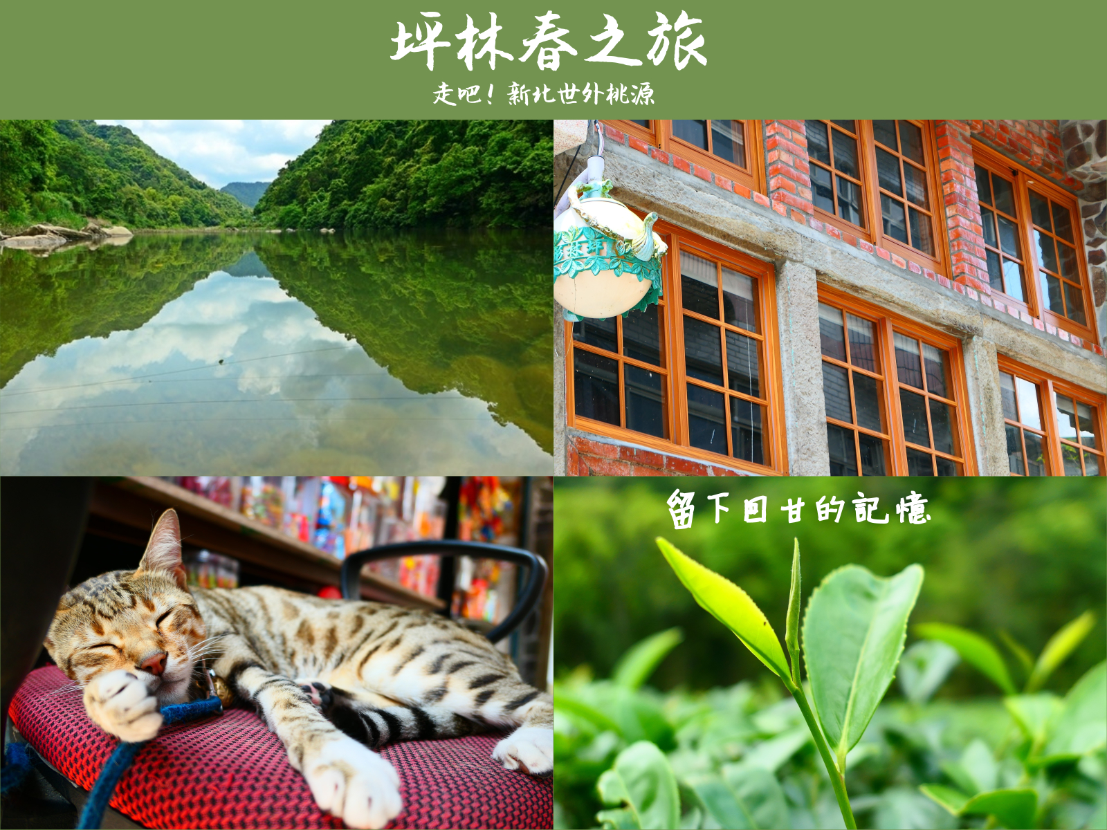 坪林老街,白長青茶作坊,北勢溪自行車道,茶業博物館,製茶皂體驗,坪林親水公園,坪林茶產業文化館,新北,坪林,茶葉,春遊,春遊補助,經典小鎮,茶園,自行車道,步道,老街,坪感覺,手作,DIY,親子景點,打卡,水柳角68號,坪林茶業博物館,百岳