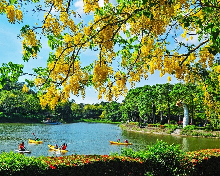 台南,端午節,黃金花海,龍舟競賽,白河蓮花季,虎頭埤風景區,烏山頭水庫,花海,阿勃勒,龍舟,安平,安平運河,白河,白河蓮花,蓮花,後壁,走馬瀨農場,尖山埤江南渡假