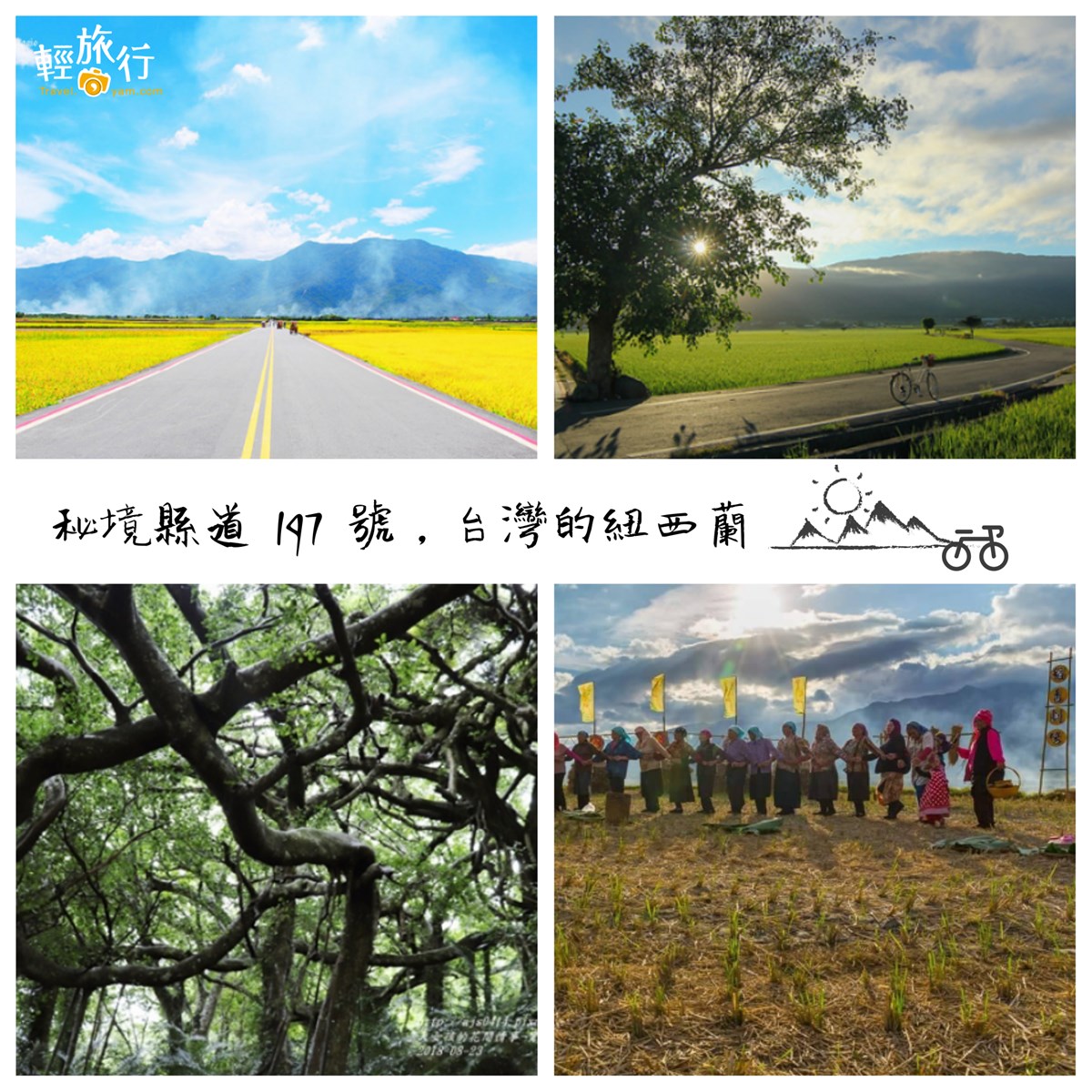 197縣道,池上,大坡池,伯朗大道,漂鳥197,電光部落,鸞山部落,台東,秘境,縣道197號,公路,萬安磚窯廠,森林博物館,會走路的樹,單車,富源景觀台,關山鎮,卑南鄉,鹿野
