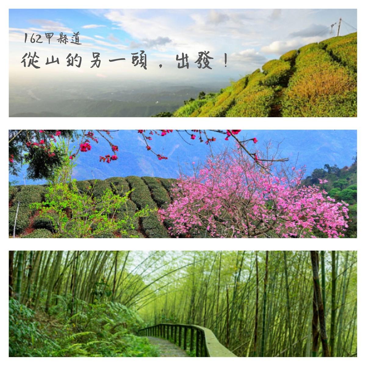 162甲縣道,梅山,太和,太平雲梯,梅山公園,太平老街,竹坑溪步道,嘉義,阿里山,太平,空氣圖書館,孝子路步道,步道,秘境,仙人堀,碧湖村,茶園,1314觀景台,瑞峰,瑞里,野薑花溪步道,綠色隧道,太和風景區,三十六彎,小百岳,瀑布,登山,雲海,日出,吊橋,溪流,古道,小火車,觀光工廠,花海,打卡
