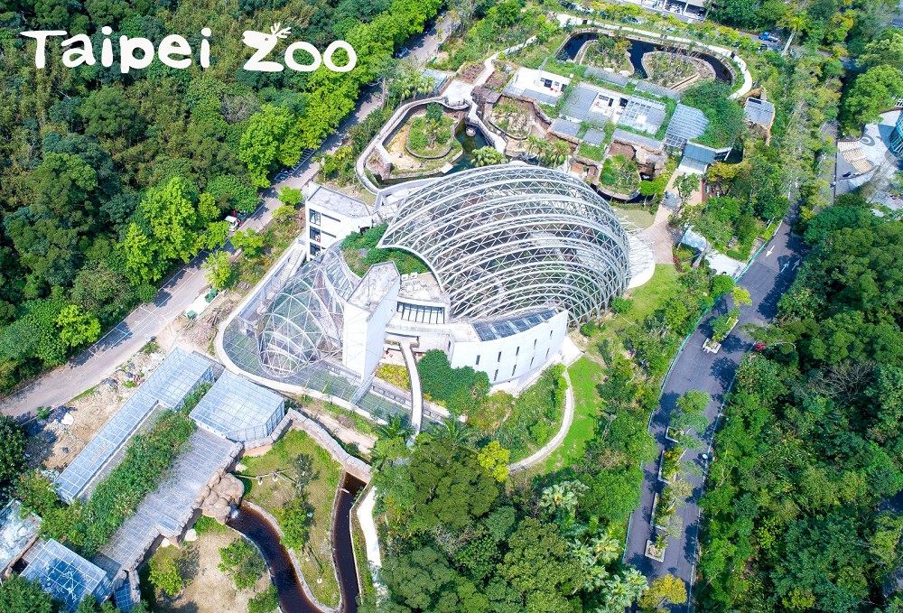 台北市立動物園,熱帶雨林室內館,穿山甲館,水豚君,棕蜘蛛猴,雨林出任務,親子體驗營,台北,木柵,動物園,水豚,親子景點,馬來貘