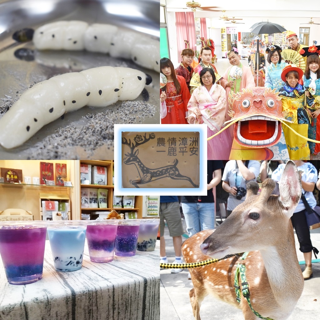 漳洲社區發展協會,雞母蟲麻糬DIY,金氏世界紀錄蜈蚣陣,蝶豆花漸層果凍飲DIY,梅花鹿互動,木玫瑰DIY,AR實境,台南,佳里,漳洲社區,梅花鹿,小鹿,一日遊,親子,蜈蚣陣,DIY,雞母蟲,麻糬,進穎種鹿場,木玫瑰,姬璇花,體驗,觀光工廠