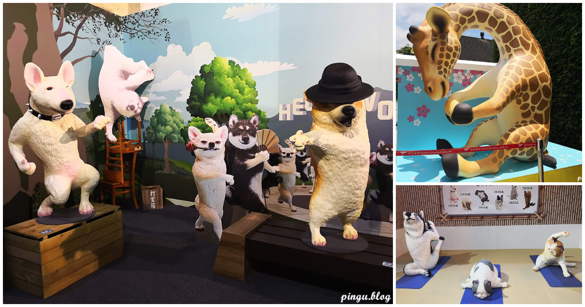 動物也瘋狂,華山文創園區,瑜珈系列,公仔展覽,朝隈俊男,Animal Life,親子看展,台北,華山1914創意文化園區,展覽,文創,親子,打卡,拍照,IG