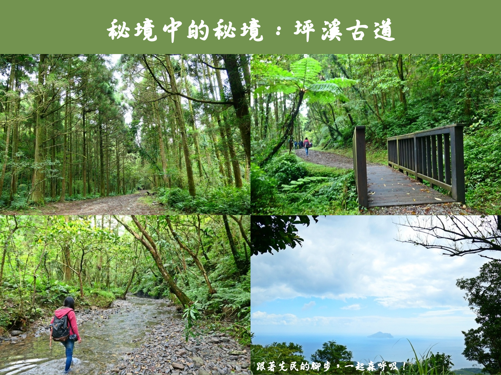 淡蘭古道,坪溪古道,雙溪區,泰平假日農夫市集,象寮古道,龜山島,柳杉林,新北,雙溪,秘境,新北登山旅遊節,厚雨農莊,小百岳,步道,溪流,車站