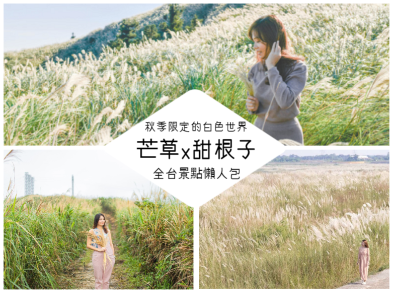 芒草,甜根子草,陽明山,泰雅大橋,高屏溪舊鐵橋,後龍好望角,五分山,懶人包,台北,甜根子,新北,報時山步道,金瓜石,不厭亭,瑞雙公路,瑞芳區,平溪,樹林區,三角埔頂山,虎頭山,桃園,苗栗,後龍鎮,半天寮好望角,宜蘭,三星鄉,台南,大內區,嘉義,後壁區,水上鄉,八掌溪,官田區,善化區,高雄,高屏溪,百岳,小百岳,登山