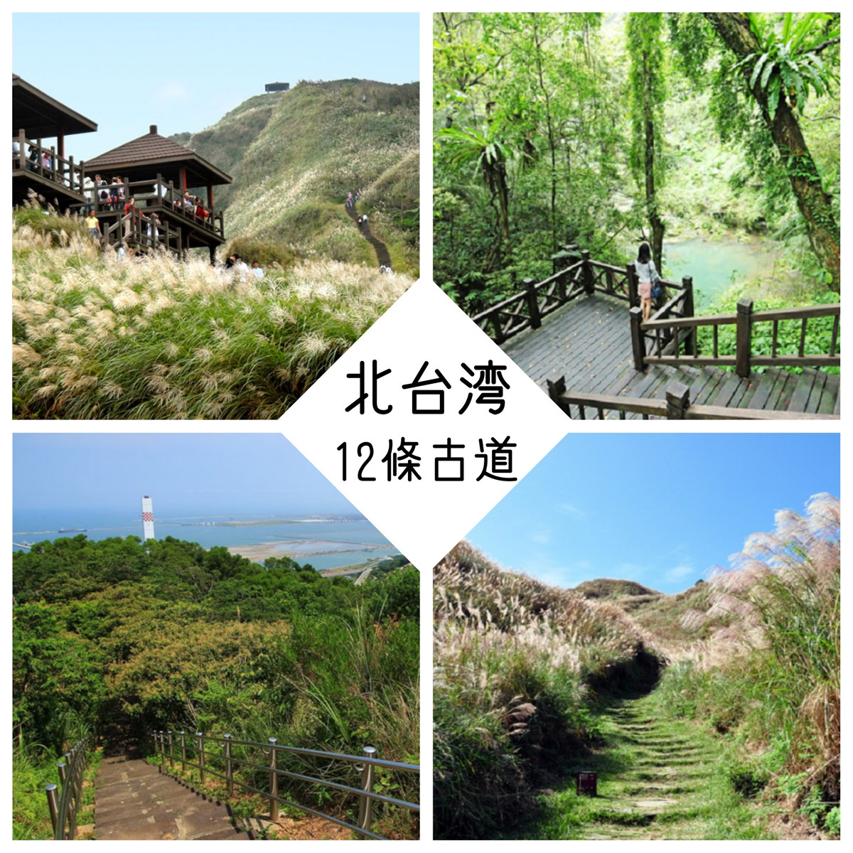 北台灣,古道,魚路古道,天母古道,淡蘭古道,草嶺古道,金字碑古道,台北,陽明山,擎天崗,士林區,天母,新北,宜蘭,頭城鎮,貢寮區,芒草,猴硐,瑞芳區,雙溪區,坪溪古道, 東勢格越嶺步道,平溪區,太平濱海步道,林口,桃園,大溪區,齋明寺古道,百吉林蔭步道,百吉隧道,古齋明寺,大艽芎古道,水濂橋步道,新竹,峨眉鄉,橫山鄉,大背山,大崎棟古道,茶亭古道,騎龍古道,小百岳,登山,溪流,懶人