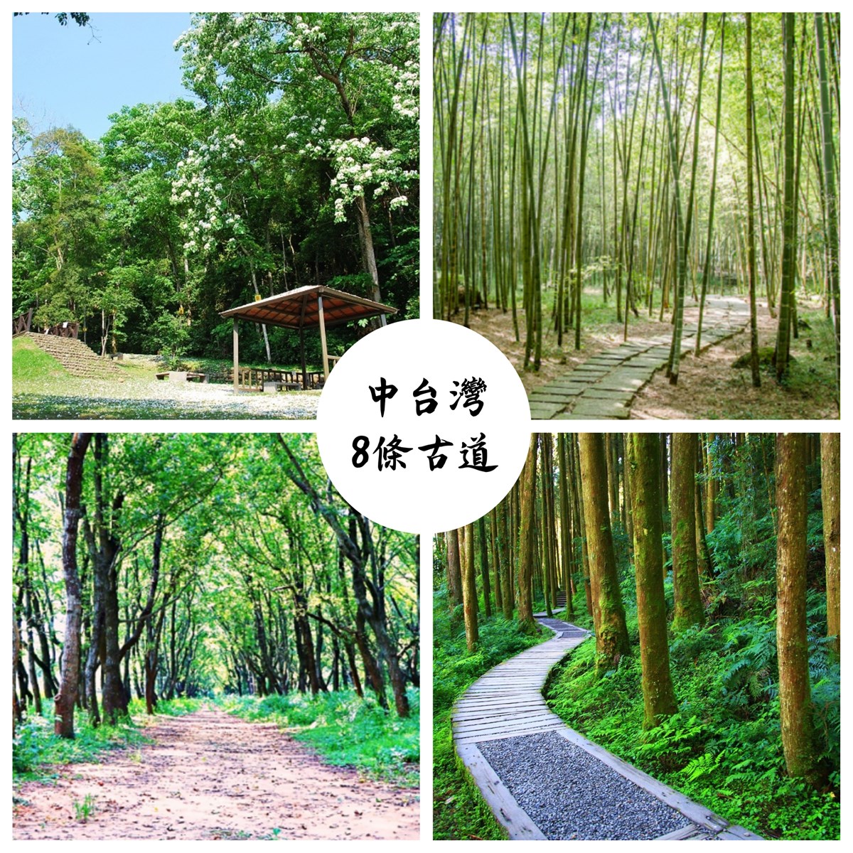 苗栗老崎古道,出磺坑古道,竹坑南寮登山步道,彰化挑水古道,杉林溪越嶺古道,馬奴多斯獵人古道,長源圳生態步道,苗栗,古道,懶人包,頭份鎮,老崎古道,頭份後花園,公館鄉,台中,龍井區,彰化,挑水古道,芬園鄉,南投,杉林溪,竹山鎮,信義鄉,雲林,木馬古道,草嶺,小半天,百岳,瀑布