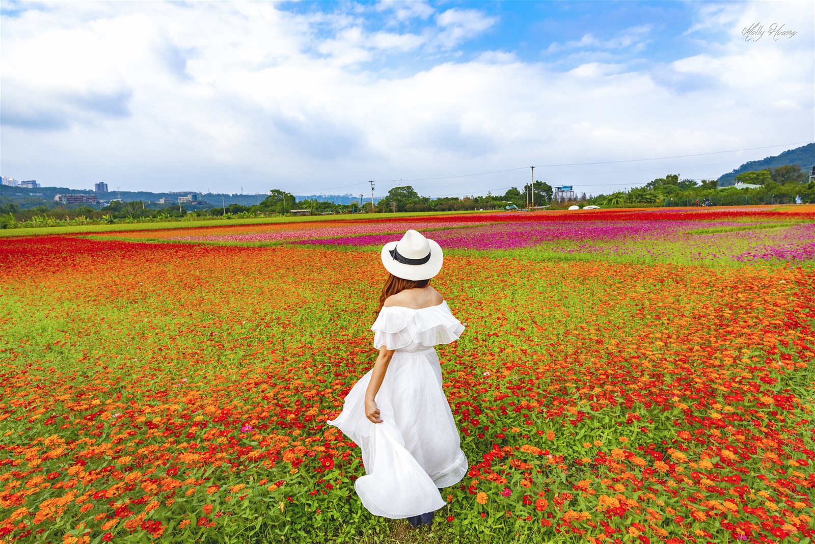 桃園花彩節,大溪展區,中壢展區,平鎮展區,鄉村小旅行,Instagram美照大賽,在地農產品,桃園,大溪區,中壢區,平鎮區,花海