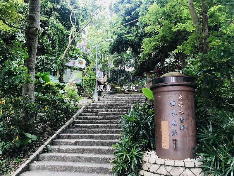 天母古道親山步道,水管路步道,臺灣獼猴,自在亭,翠峰亭,七星山系,文化大學公車站,台北,士林,天母古道,獼猴,野生動物,登山,健行,小百岳,步道,車站,捷運