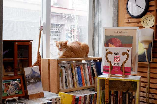 獨立書店,二手書,巧克力塔,台東旅遊,咖啡館,手作甜點,寵物友善,台東,晃晃,貓咪,二手書店,甜點,晃晃二手書