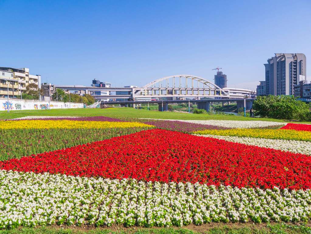 成美河濱公園,花海,橋景,彩虹橋,麥帥一橋,夜景,裝置藝術,台北,松山,內湖,南港區
