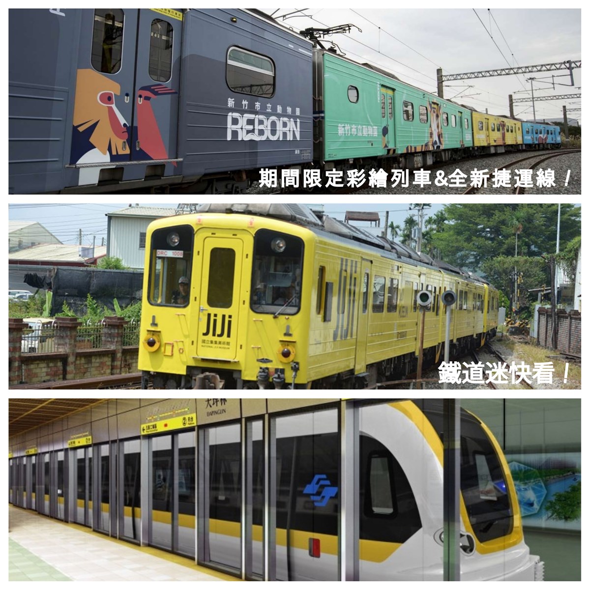 彩繪列車,捷運環狀線,新竹動物園彩繪列車,淡海輕軌幾米列車,南投集集線石虎彩繪列車,里山動物列車,卡娜赫拉彩繪高鐵,鐵路,鐵道,淡海輕軌,六家線,新竹,淡水,新北,集集,南投,高鐵,卡娜赫拉,新北捷運環狀線,車站,觀光工廠,美術館,公園,動物