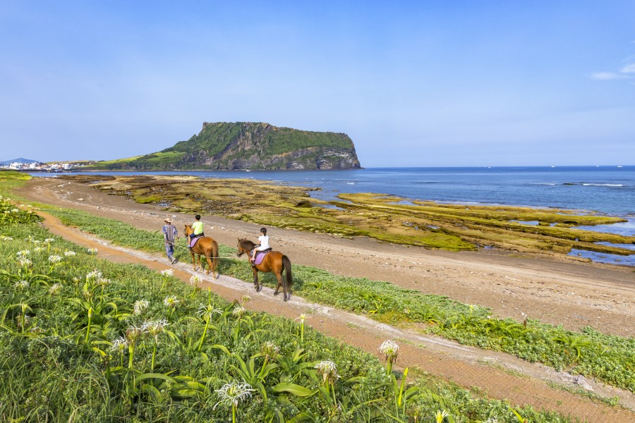 濟州島鐵道自行車,Zip Line 高空滑索,汗蒸幕,西歸浦海釣,穿韓服,鐵路自行車,RailBike,韓國,濟州島,迷你馬之城,山房山溫泉,牛島,港口,鐵道,鐵路