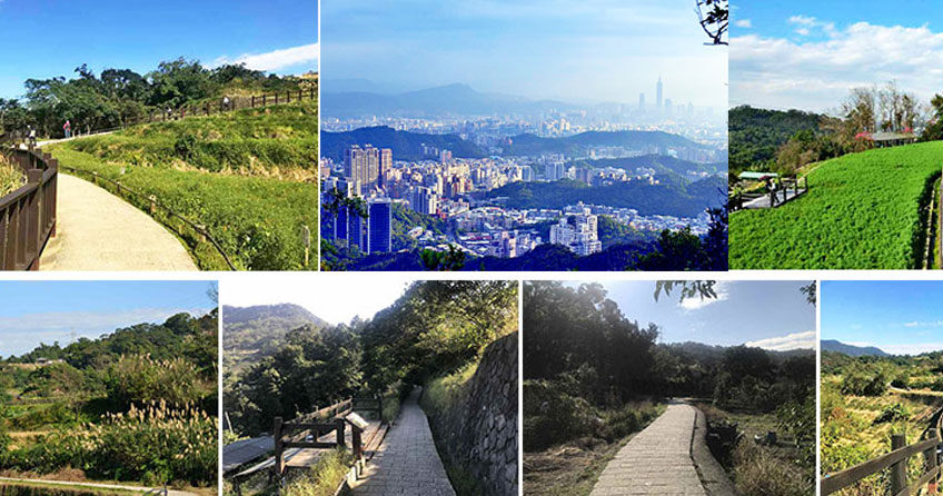 銀髮步道,台北捷運,敬老卡,中正紀念堂,陽明山步道,象山親山步道,貓空步道,台北,捷運,銀髮族,半日遊,步道,小百岳,登山,吊橋