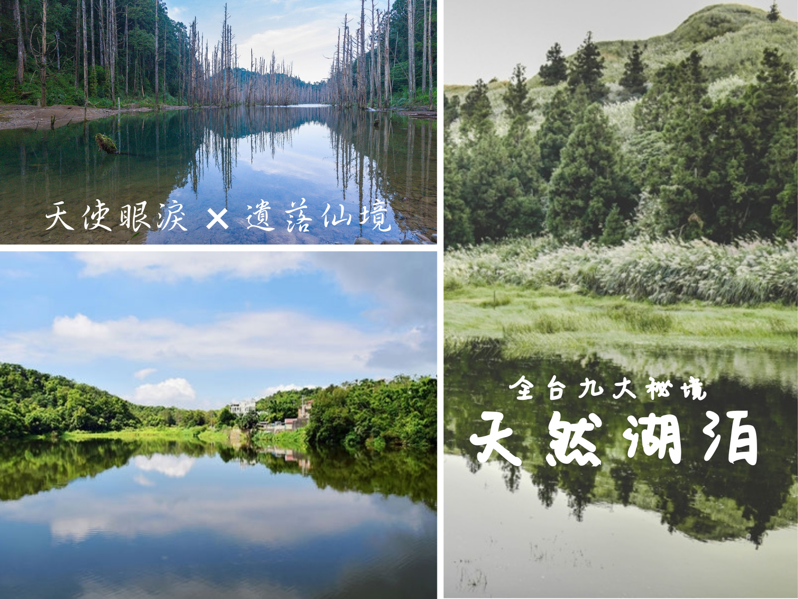 天然湖泊,秘境,山林,夢幻湖,加羅湖,神祕湖,嘉明湖,湖泊,懶人包,台北,新北,雙溪,陽明山,虎豹潭,宜蘭,苗栗,西湖鄉,德興池,台中,台灣潭,太平區,嘉義,水漾森林,杉林溪,台東,蘭嶼,大天池,仙境